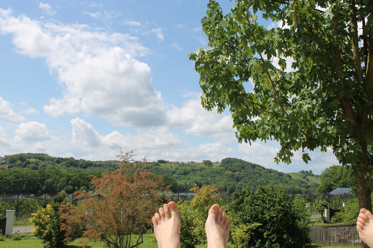 Großer Garten mit Sträuchern, blauer Himmel mit kleinen Wolken und dahinter ein Hügel mit Wald und schönem Ausblick. Ein richtig schöner Platz zum Entspannen.