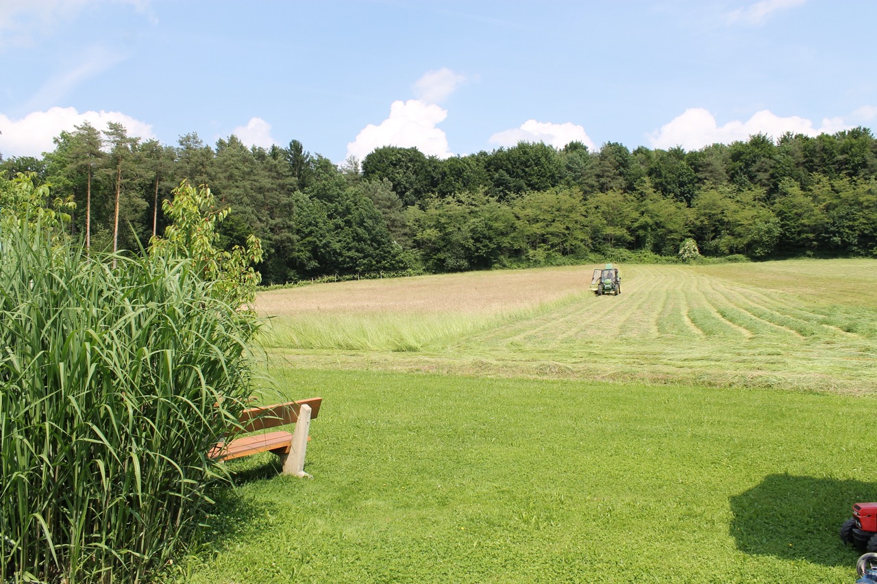 Ein Traktor mäht die Wiese. Im Hintergrund sind ein dichter Wald und blauer Himmel.