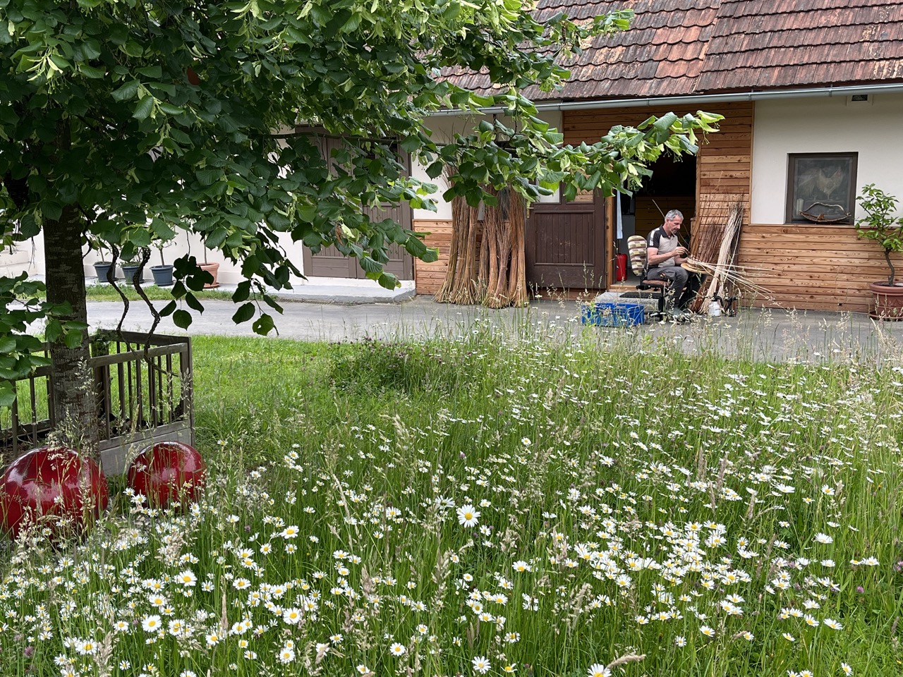 Innenhof Landhaus Bender Schöner Innengof mit grüner Wiese, Keramik und im Hintergrund ein Gebäude