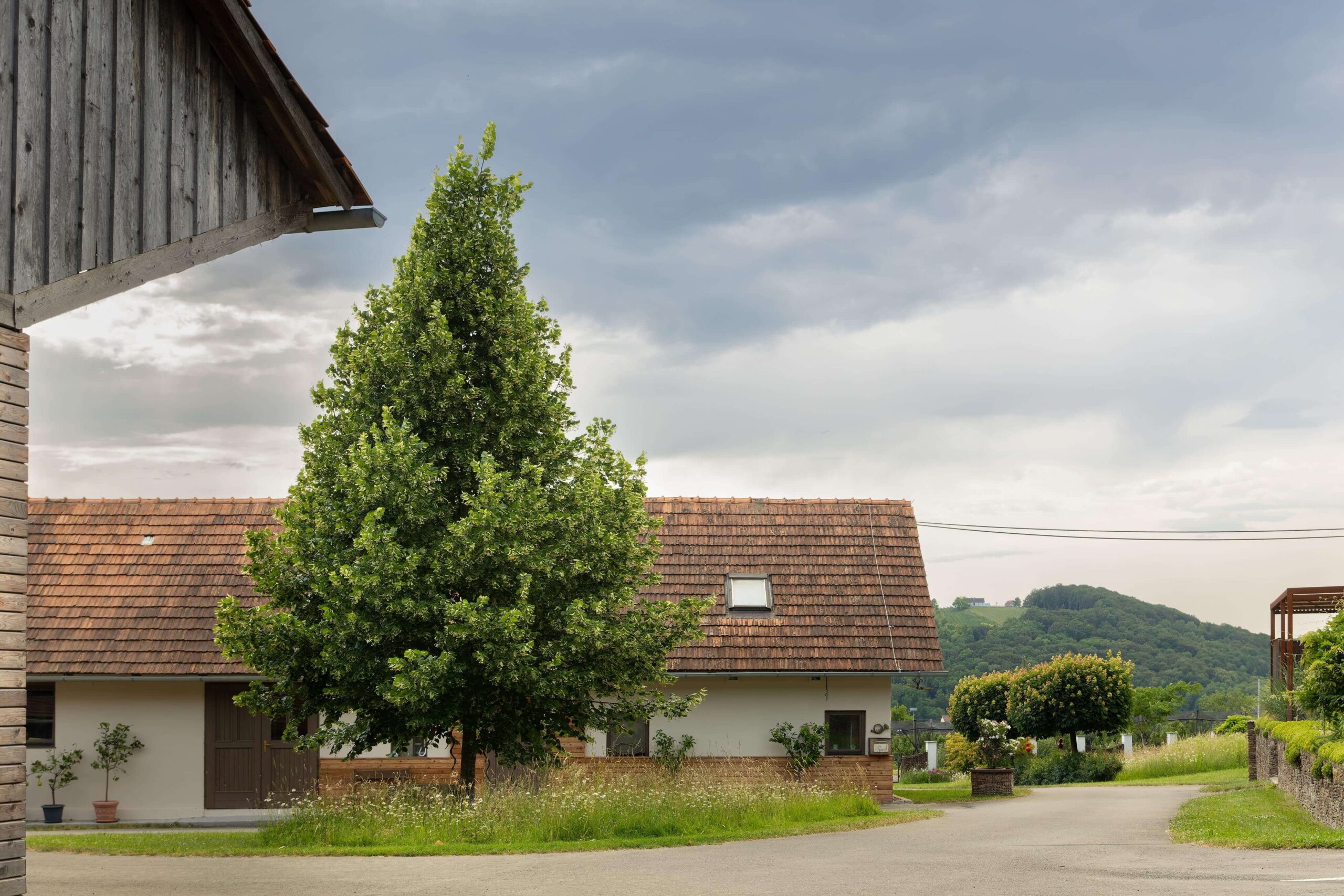 Großer Innenhof mit einem Lindenbaum in der Mitte. Dahinter befindet sich ein schönes Häuschen und man sieht die Zufahrt in den Innenhof