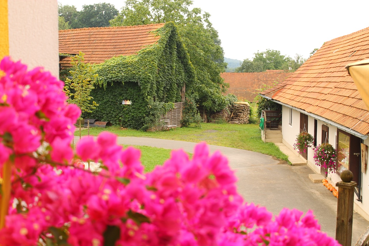 Schöner Innenhof mit Blumen und bewachsener Scheune