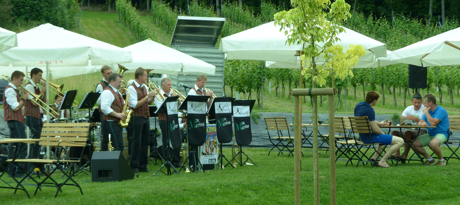 Eine Musikgruppe steht auf einer grünen Wiese und spielt