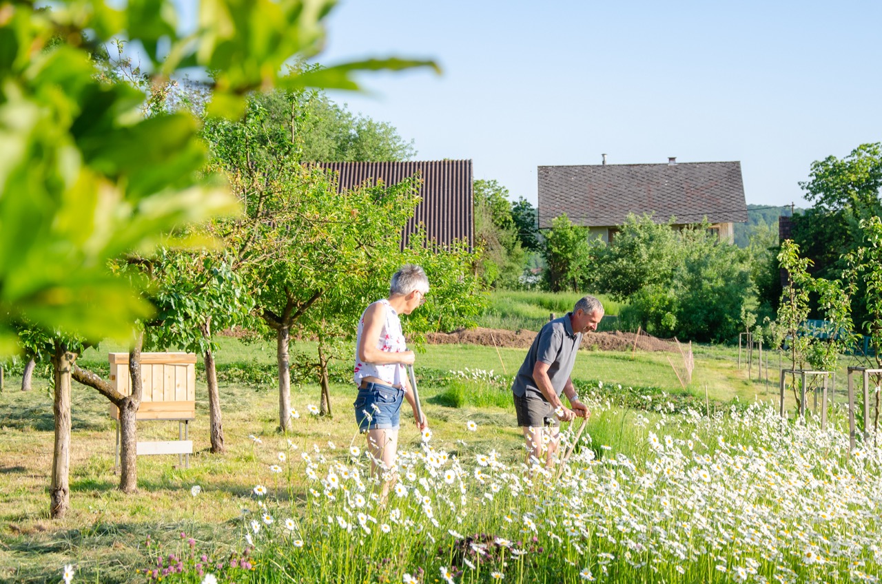 Zwei Personen mähen die bunte Blumenwiese. Das Gras liegt zum trocknen auf der Wiese umgeben von Bäumen.