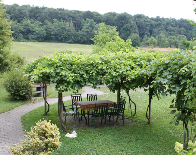 Sitzplatz unter einer Weinlaube im Garten des Landhaus Bender mit Blick auf Wiesen und Wald