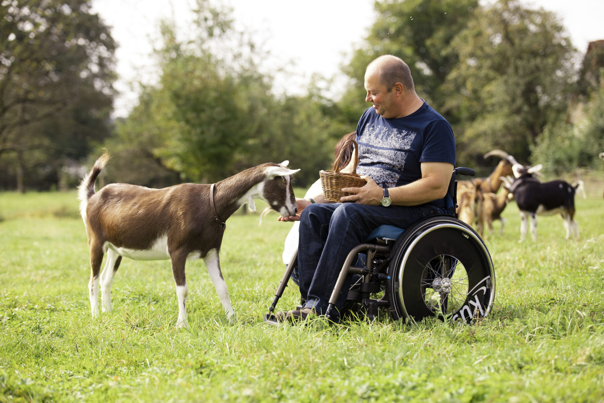 ein Mann im Rollstuhl fürttert auf der Weide eine Ziege